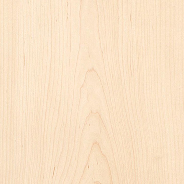 MAPLE PLYWOOD