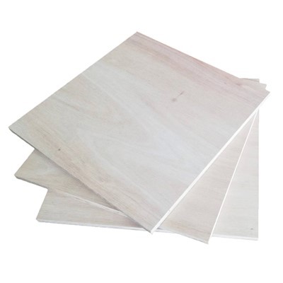 dawb birch plywood