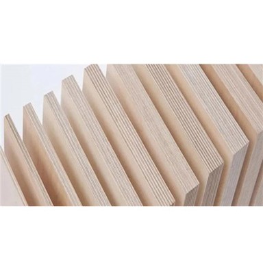 15 hli Birch Plywood
