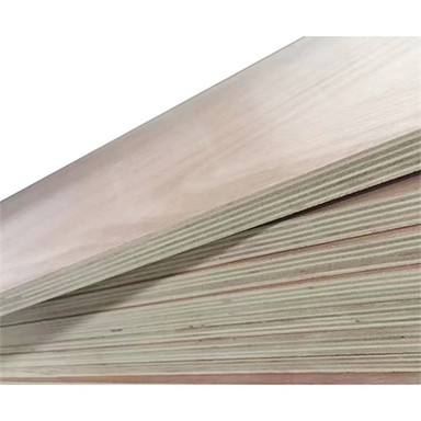 Eucalyptus Plywood