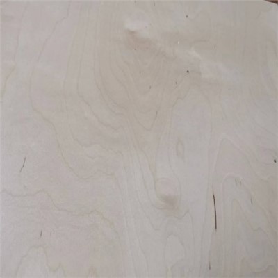 Uv Coated Birch Plywood